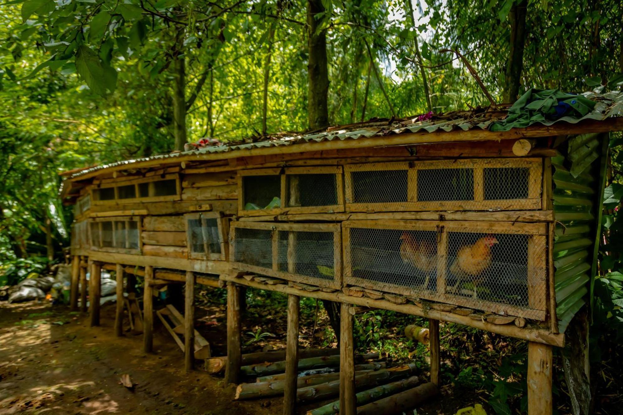 Fravan Eco Resort By Apogee Ruhengeri 外观 照片
