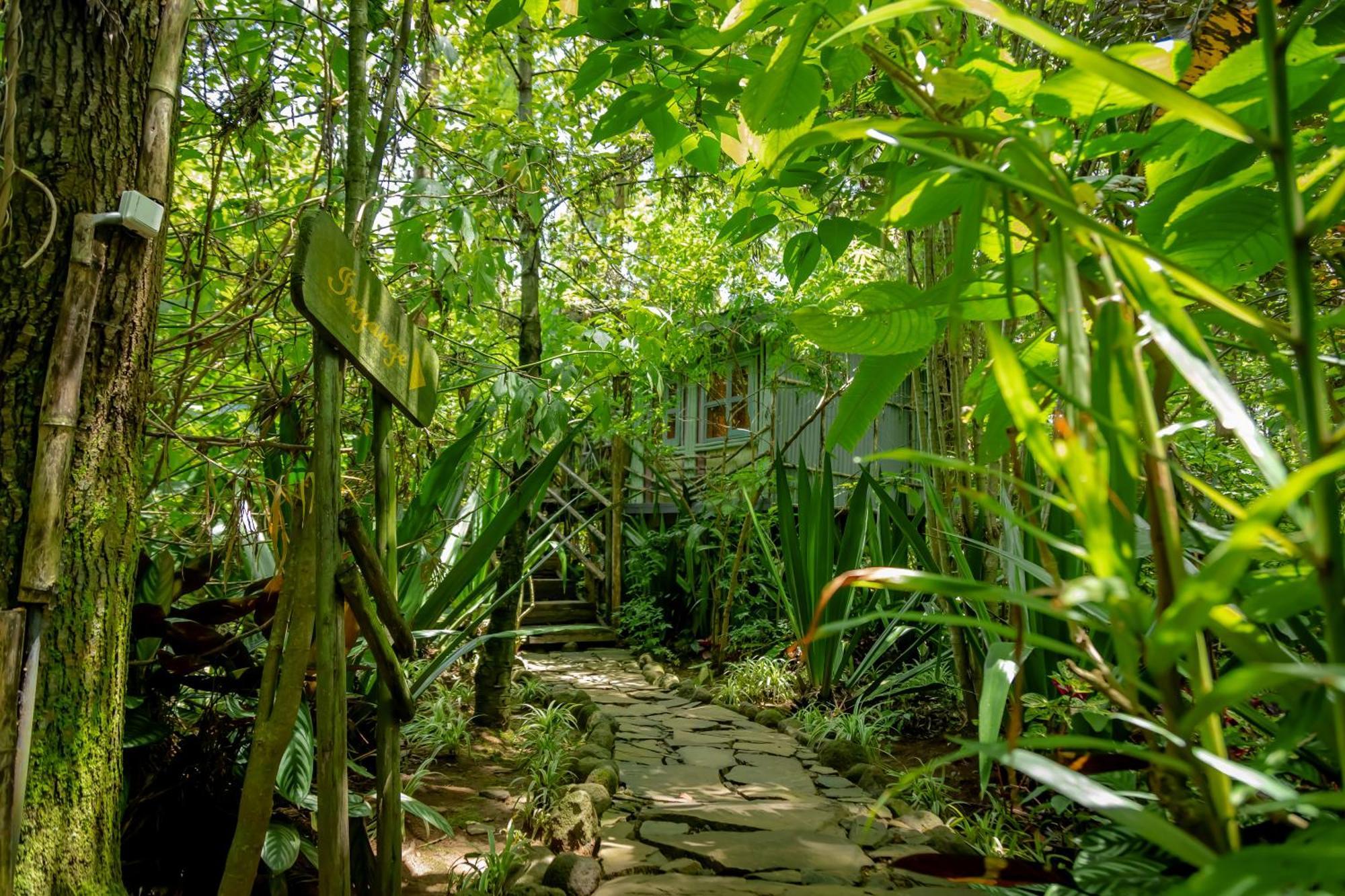Fravan Eco Resort By Apogee Ruhengeri 外观 照片