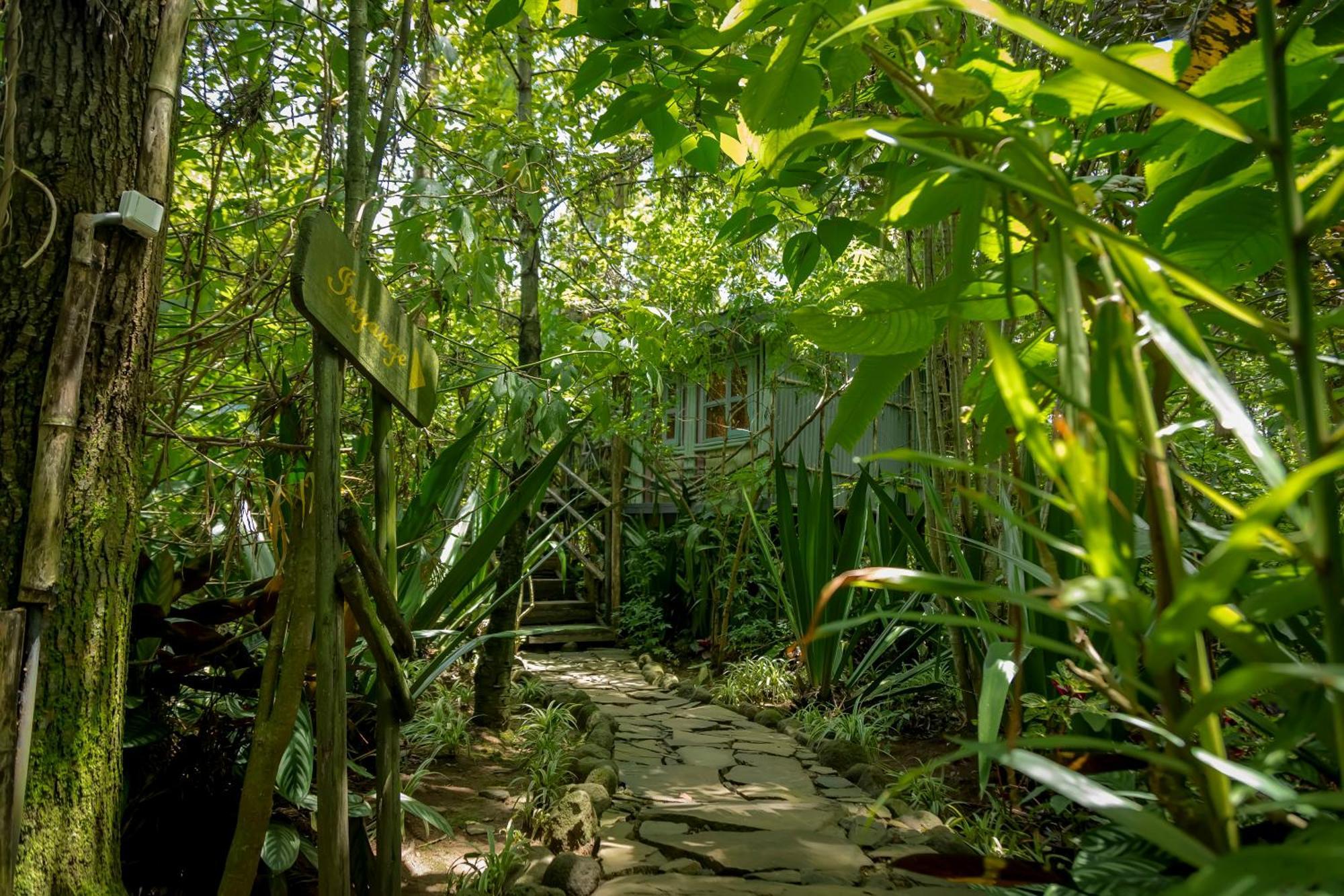 Fravan Eco Resort By Apogee Ruhengeri 外观 照片
